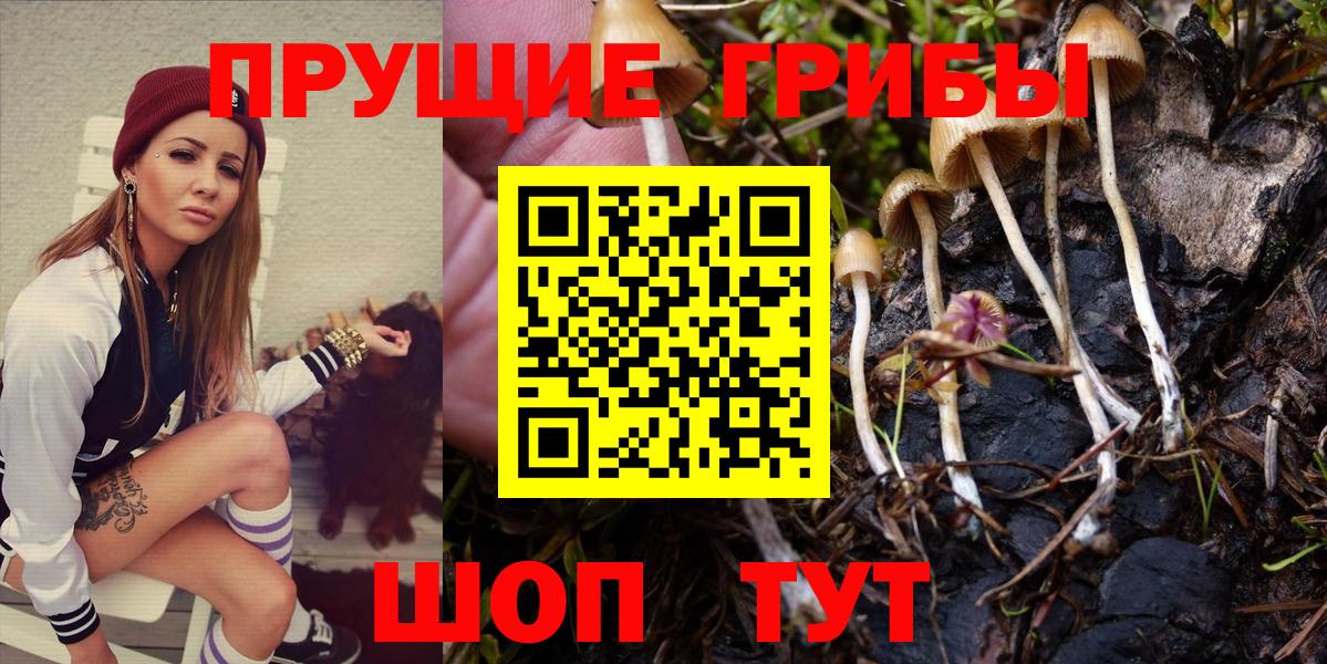 Псилоцибиновые грибы Psilocybine cubensis  Вход с VPN  Псилоцибиновые грибы прущие грибы  Усинск 