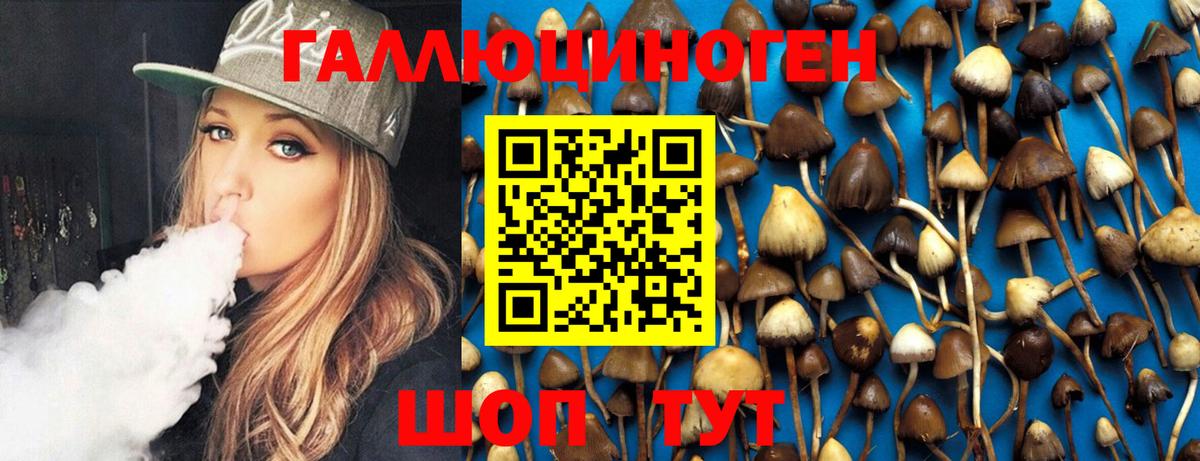 Галлюциногенные грибы Psilocybe Усинск